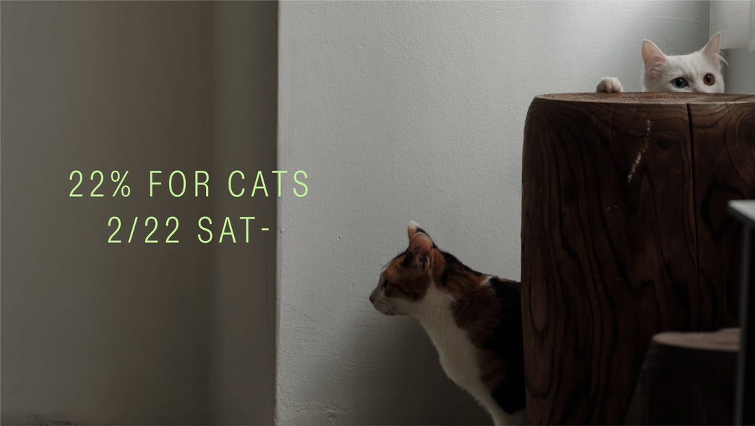 22% FOR CATS 2/22-28