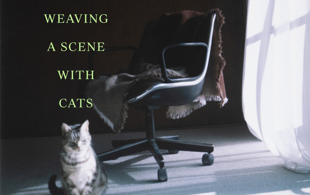 Event Information "Weaving a Scene with Cats" @malta