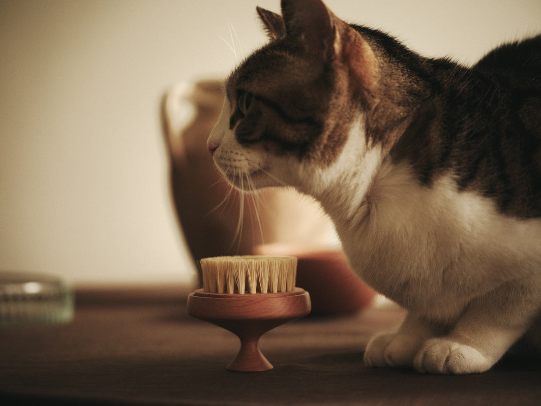 New Product "Nesting Brush"