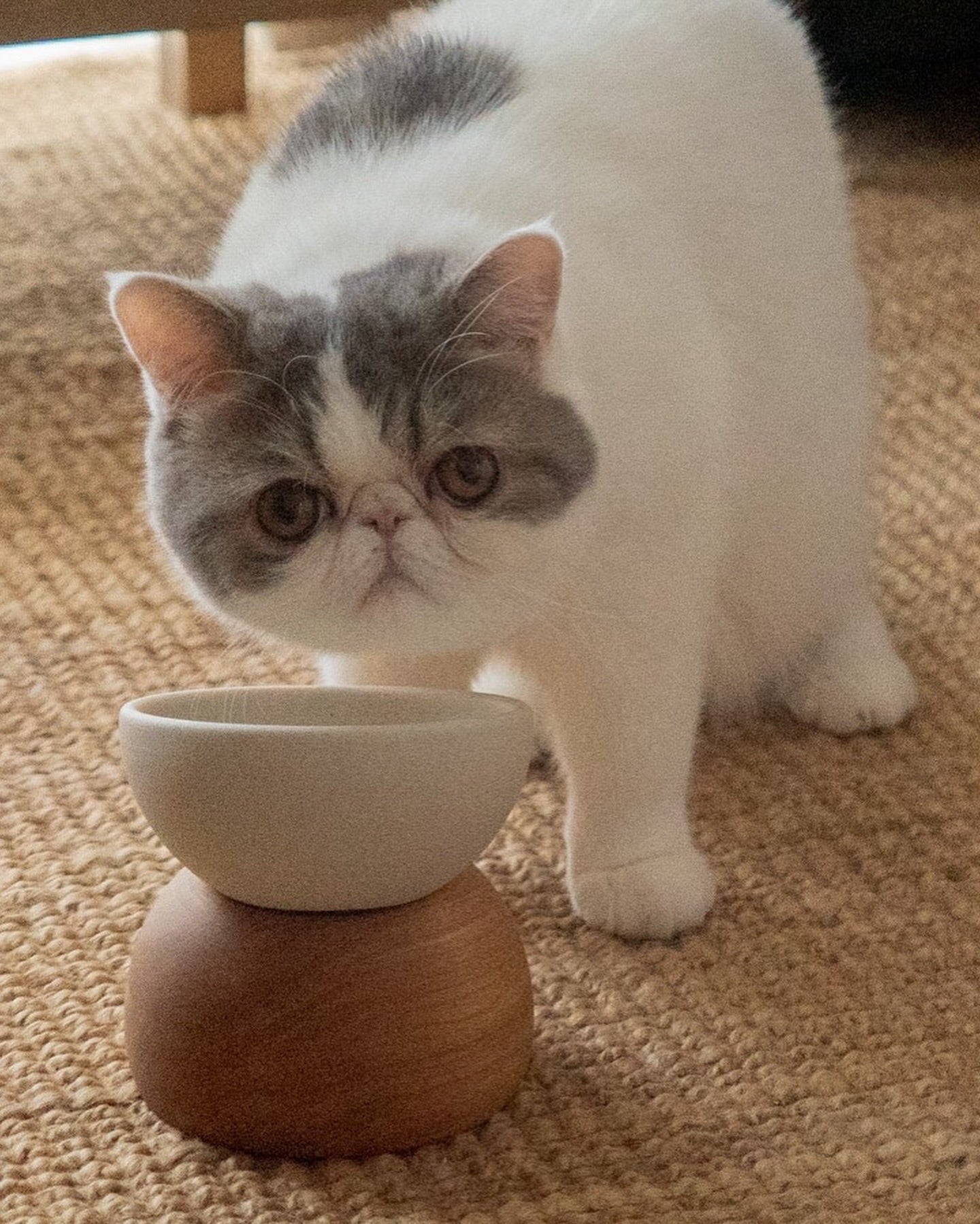 Nodding Bowl / Nara(Oak) – newa