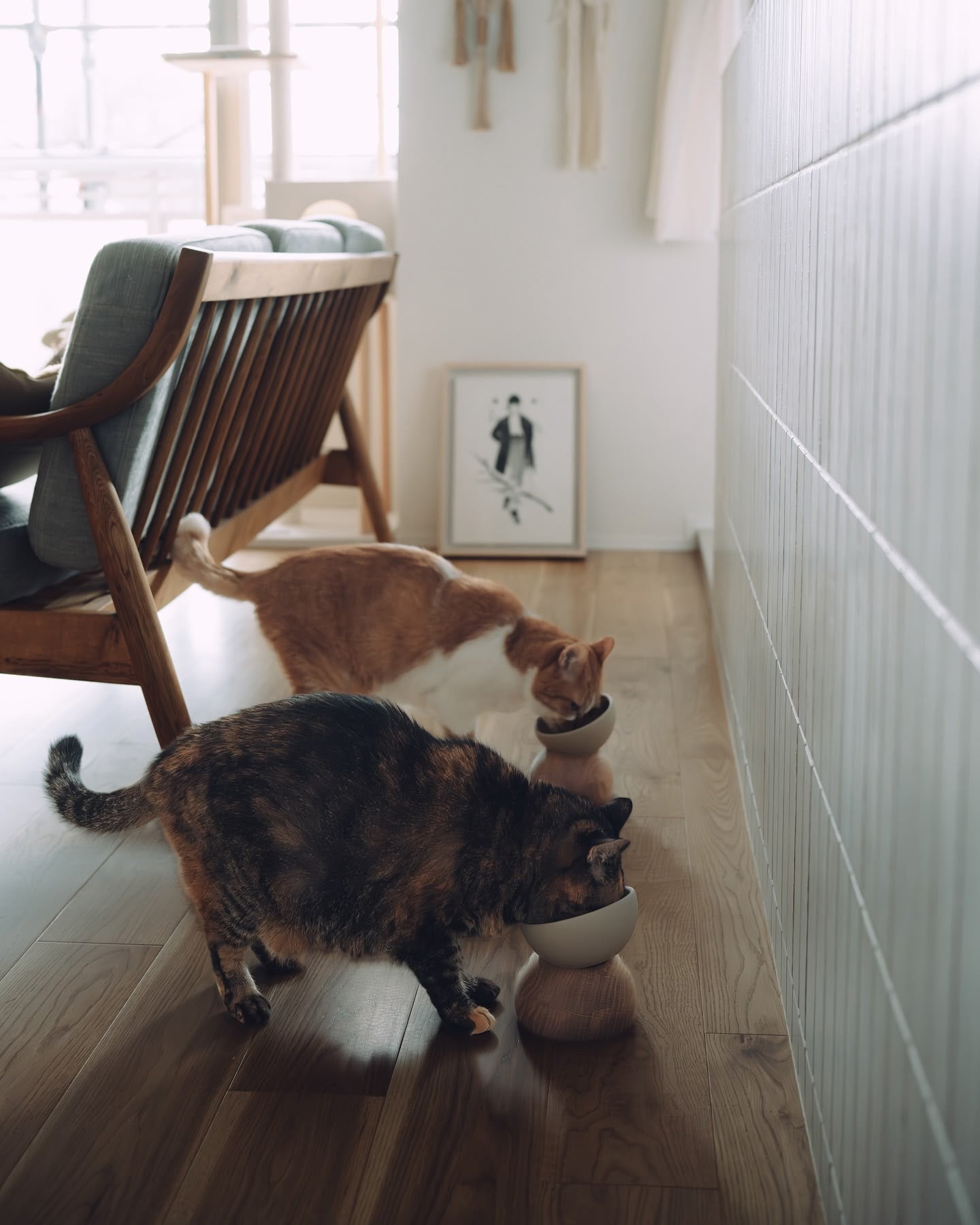 Nodding Bowl / Nara(Oak) – newa