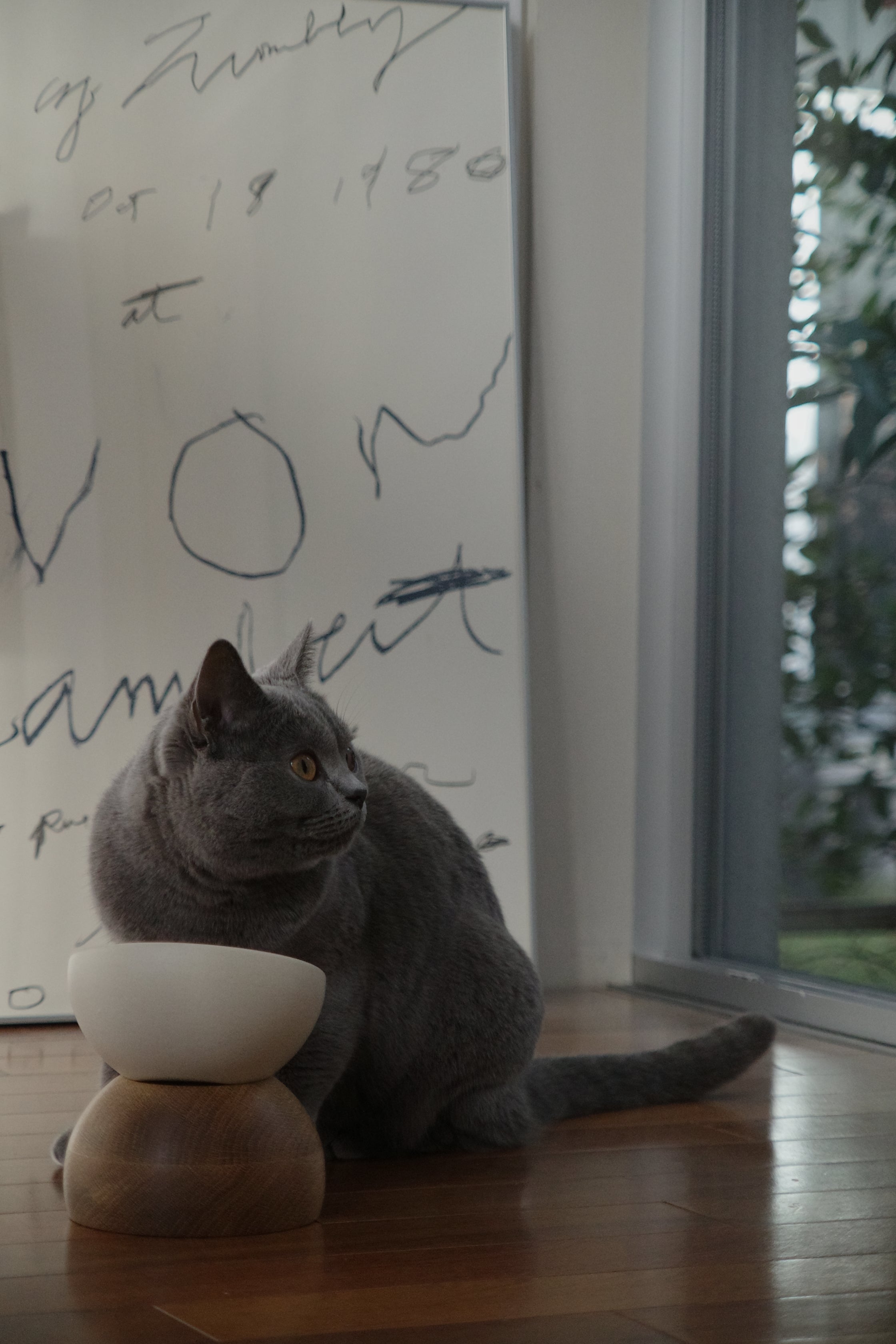 Nodding Bowl / Nara(Oak) – newa