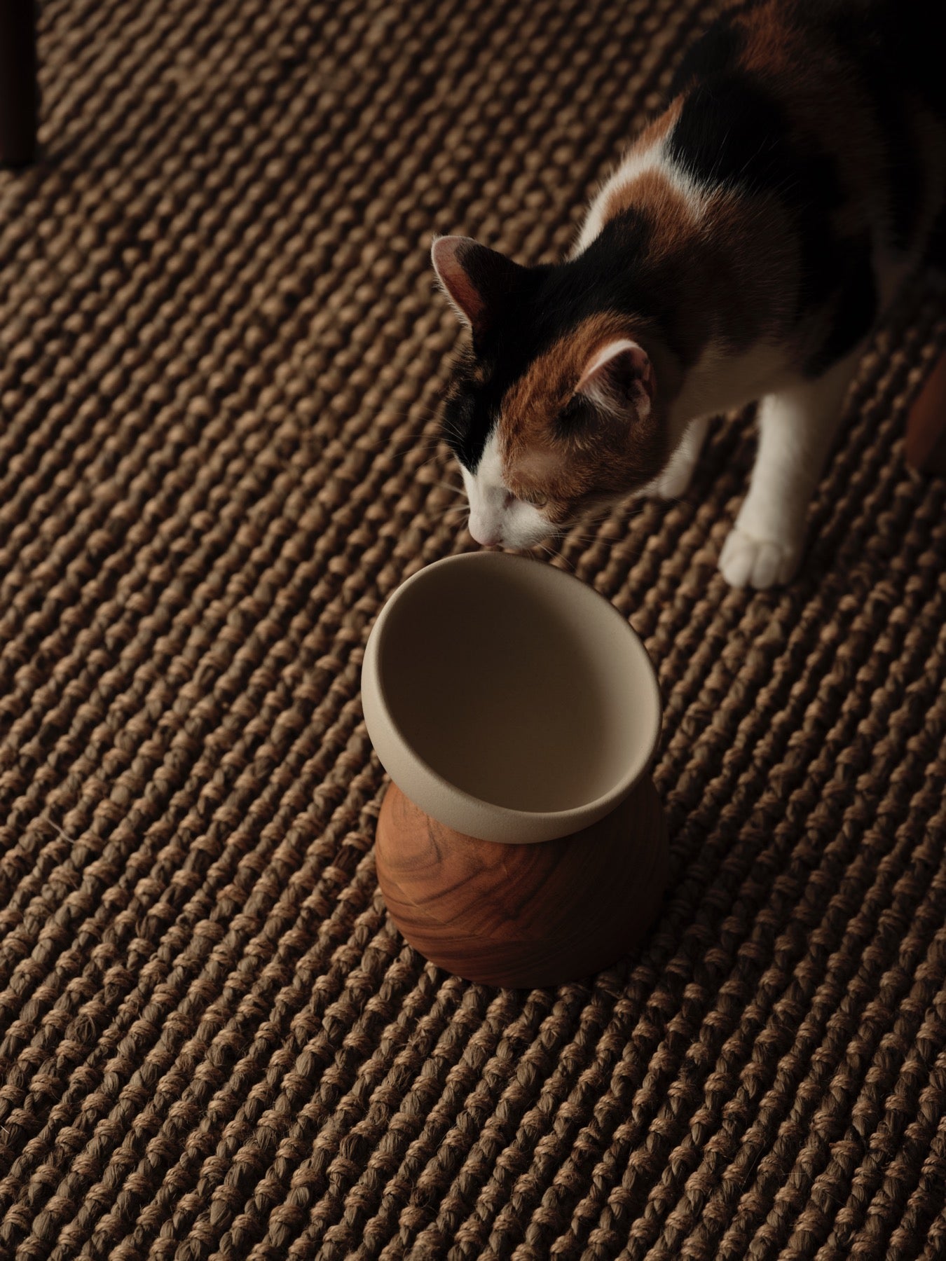 Nodding Bowl / Yamasakura(Cherry) – newa