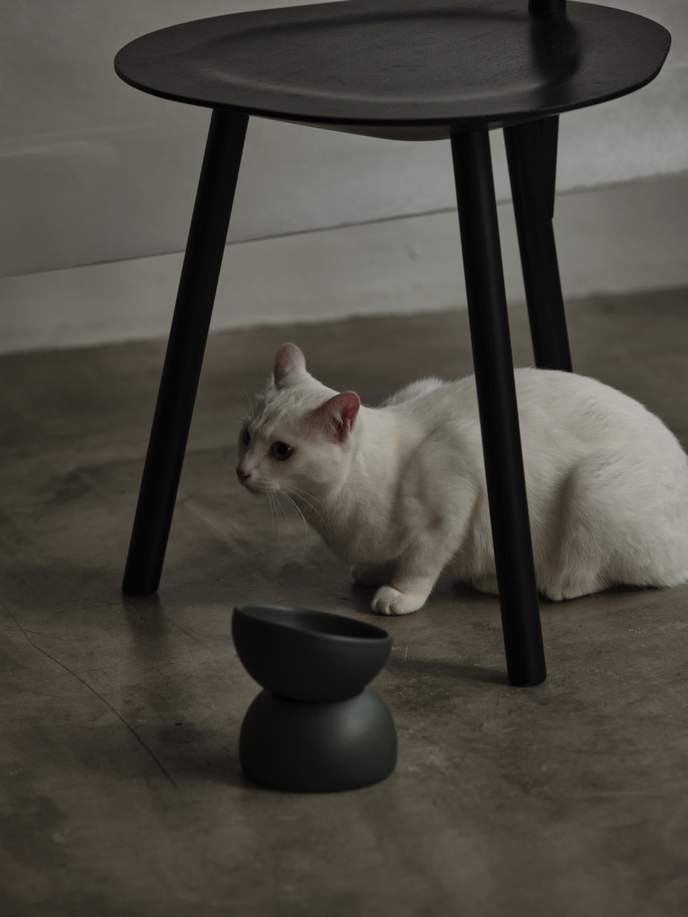 Nodding Bowl / Grass – newa