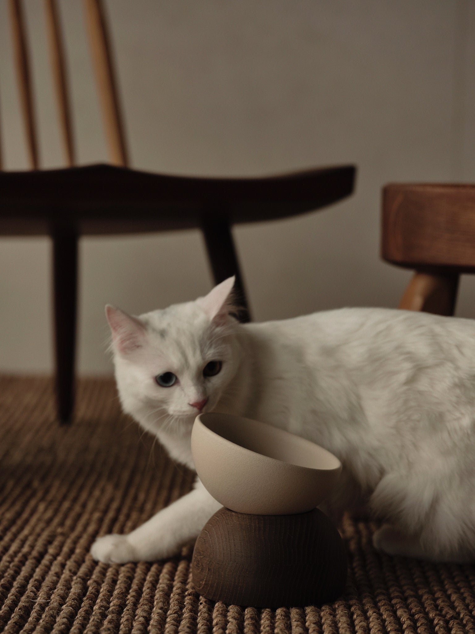 Nodding Bowl / Nara(Oak) – newa