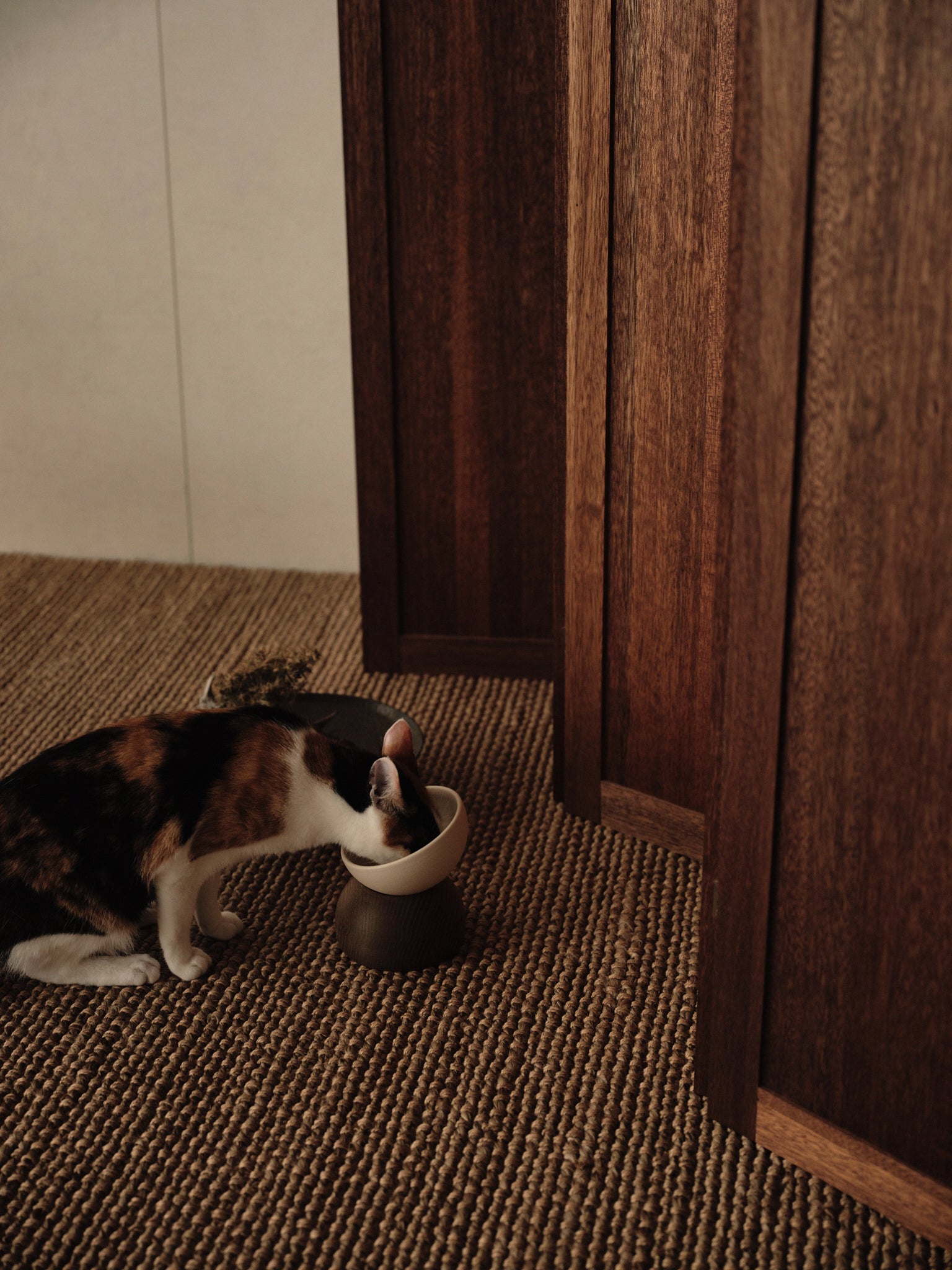 Nodding Bowl / Nara(Oak) – newa